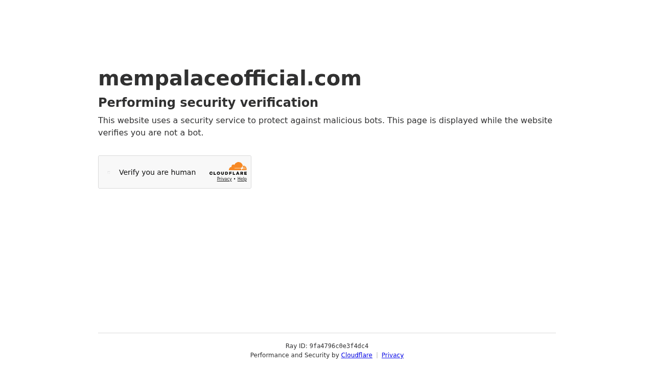 mempalace interface preview